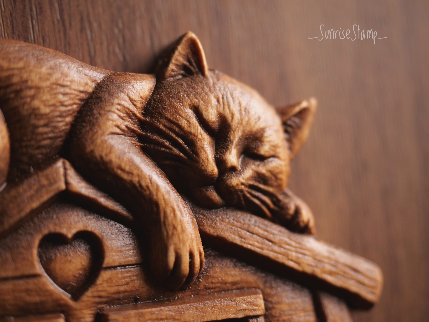 Tabliczka na drzwi mieszkania Cat Home